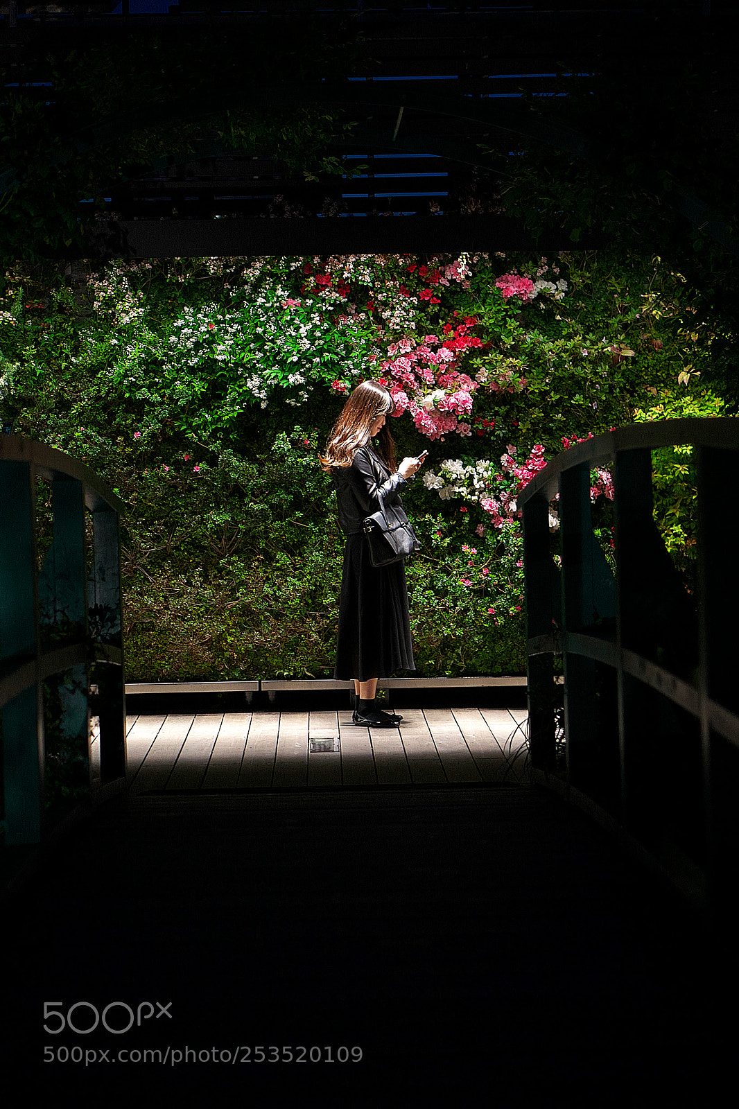 Sony a7 sample photo. Girl photography