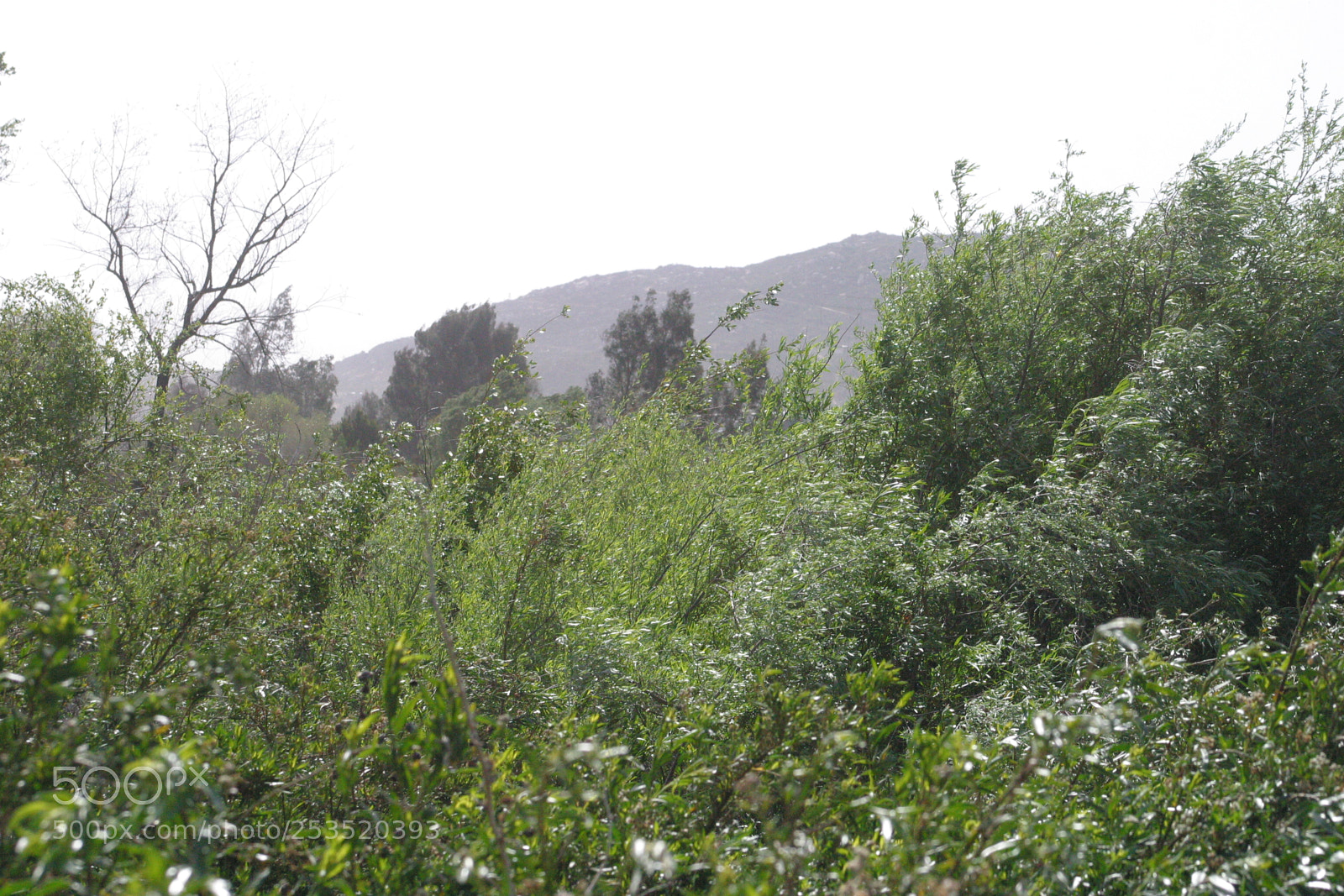 Canon EOS D60 sample photo. Take a picture of photography