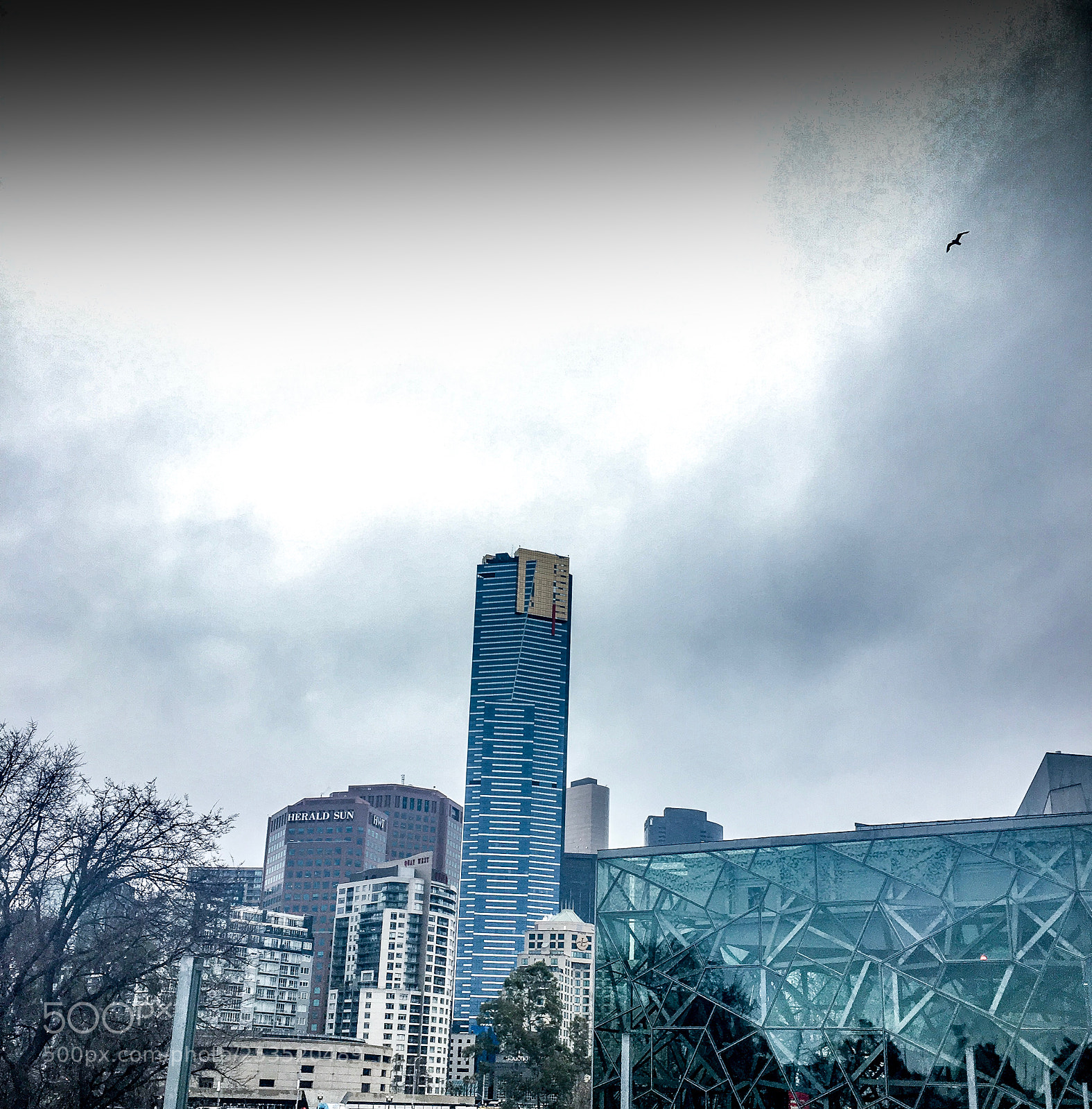 Apple iPhone 6s Plus sample photo. Dark melbourne winter photography