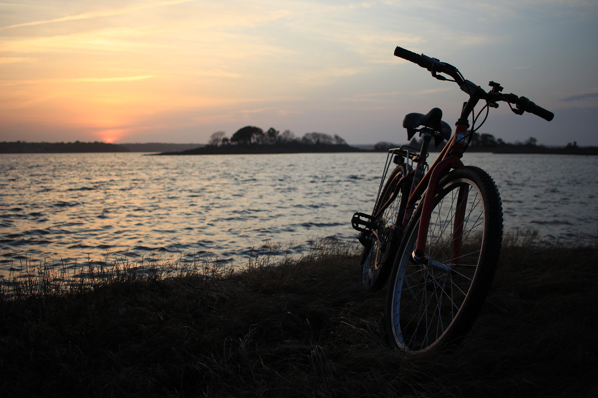Canon EF-S 24mm F2.8 STM sample photo. Own light photography