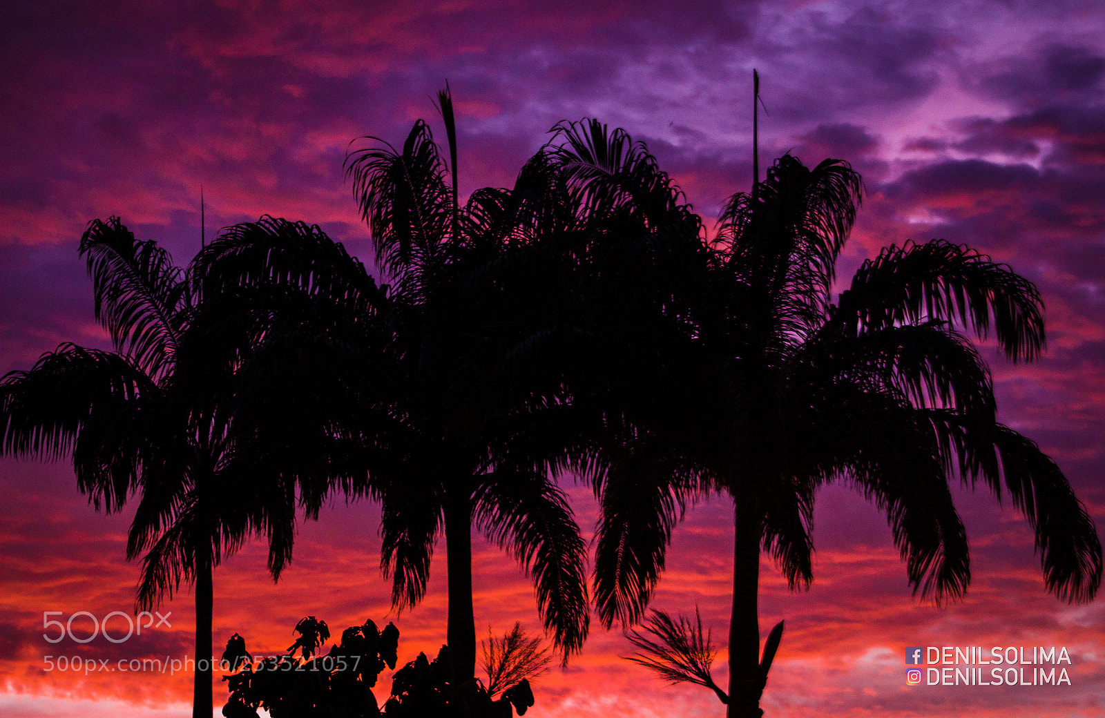 Canon EOS 700D (EOS Rebel T5i / EOS Kiss X7i) sample photo. Shades of pink photography