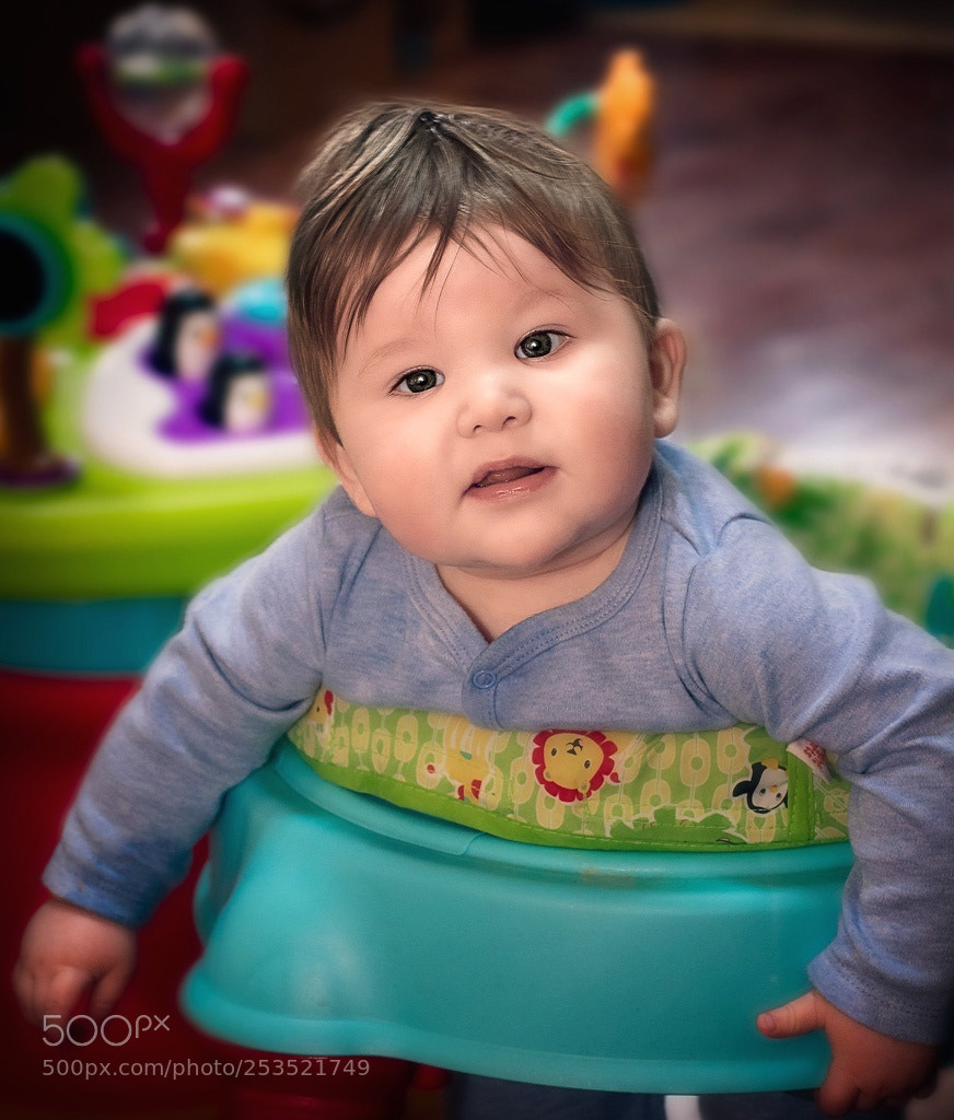 Nikon D3400 sample photo. Curious photography