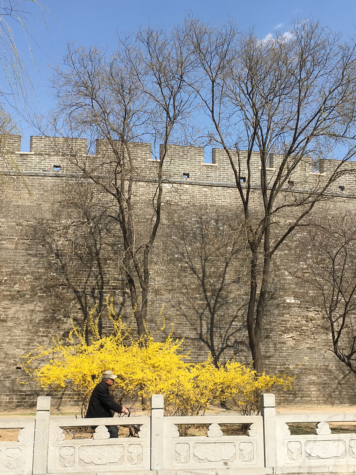 Apple iPhone 6s Plus sample photo. The spring of the photography