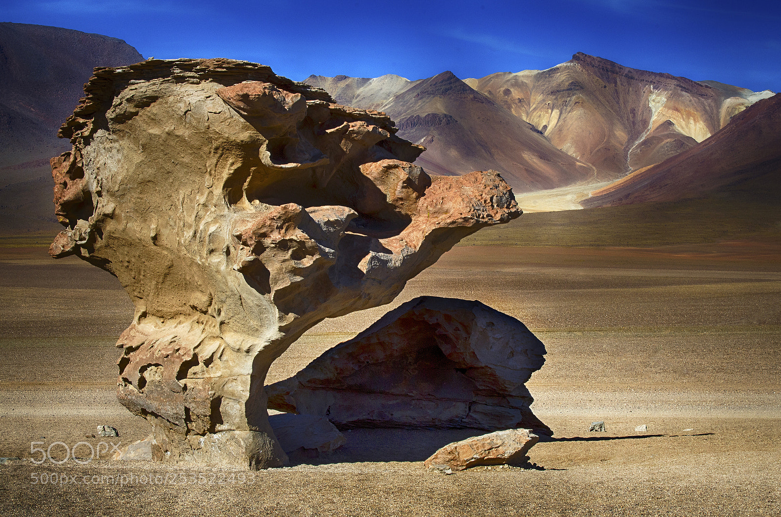 Nikon D7000 sample photo. Arbol de piedra photography