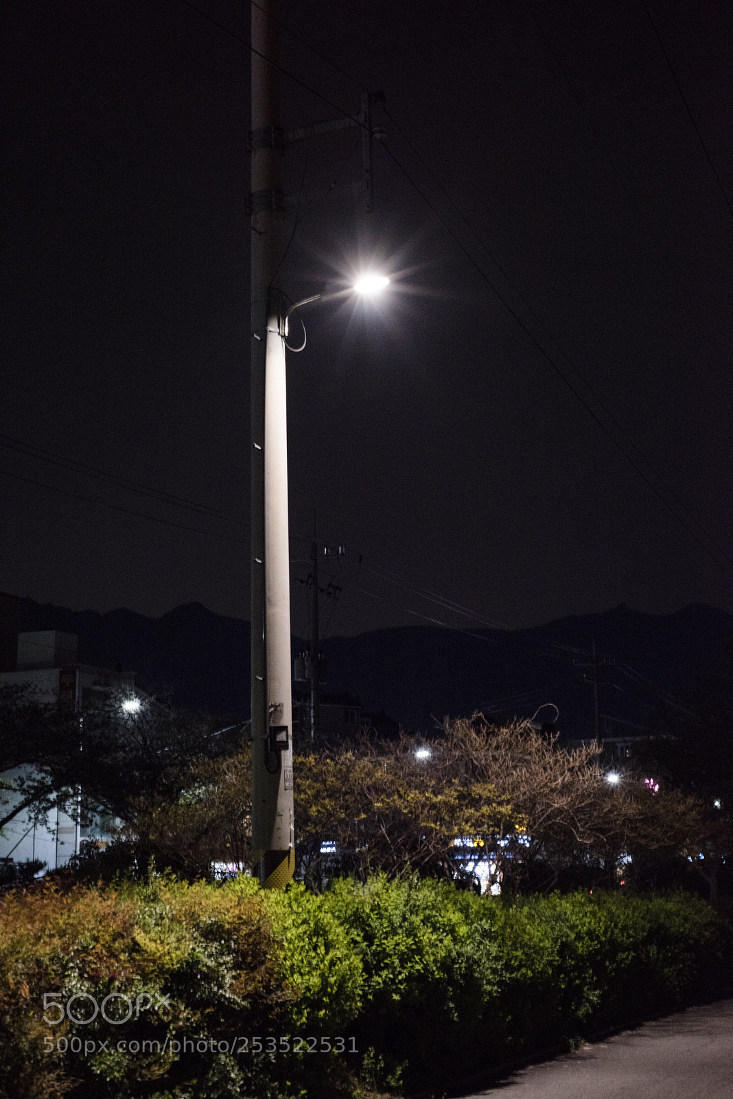 Nikon D810 sample photo. In a night 5 photography