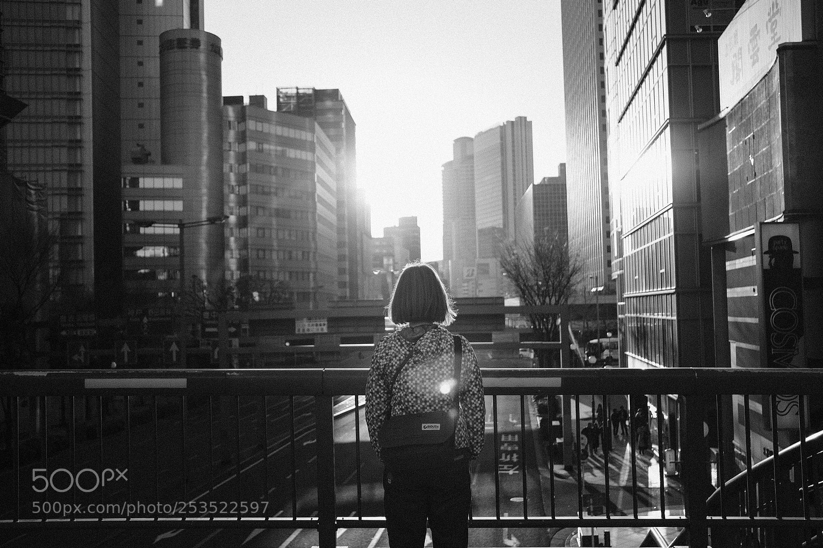 Fujifilm X-Pro2 sample photo. Footbridge photography