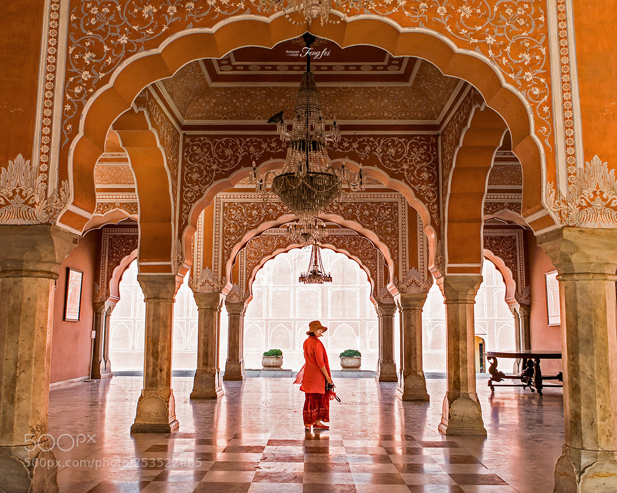 Canon EOS-1D X sample photo. City palace- jaipur of photography