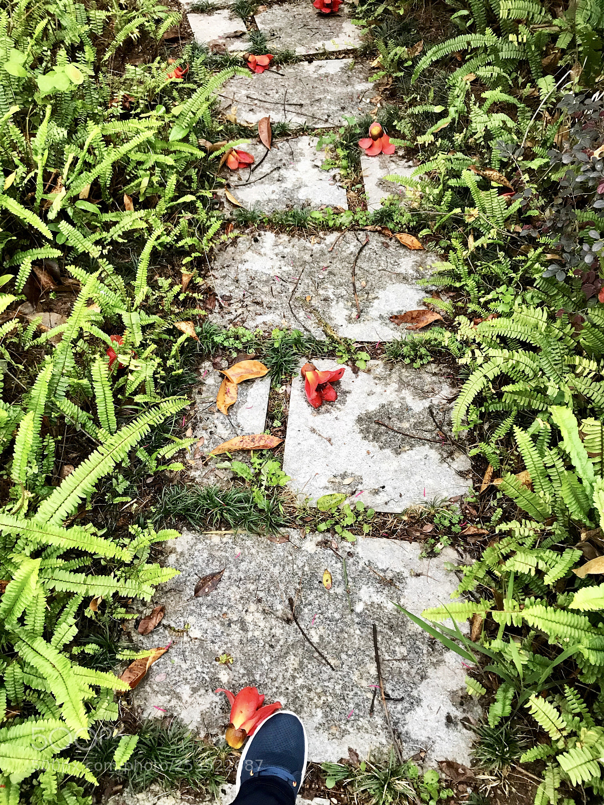 Apple iPhone 7 sample photo. Spring in school photography