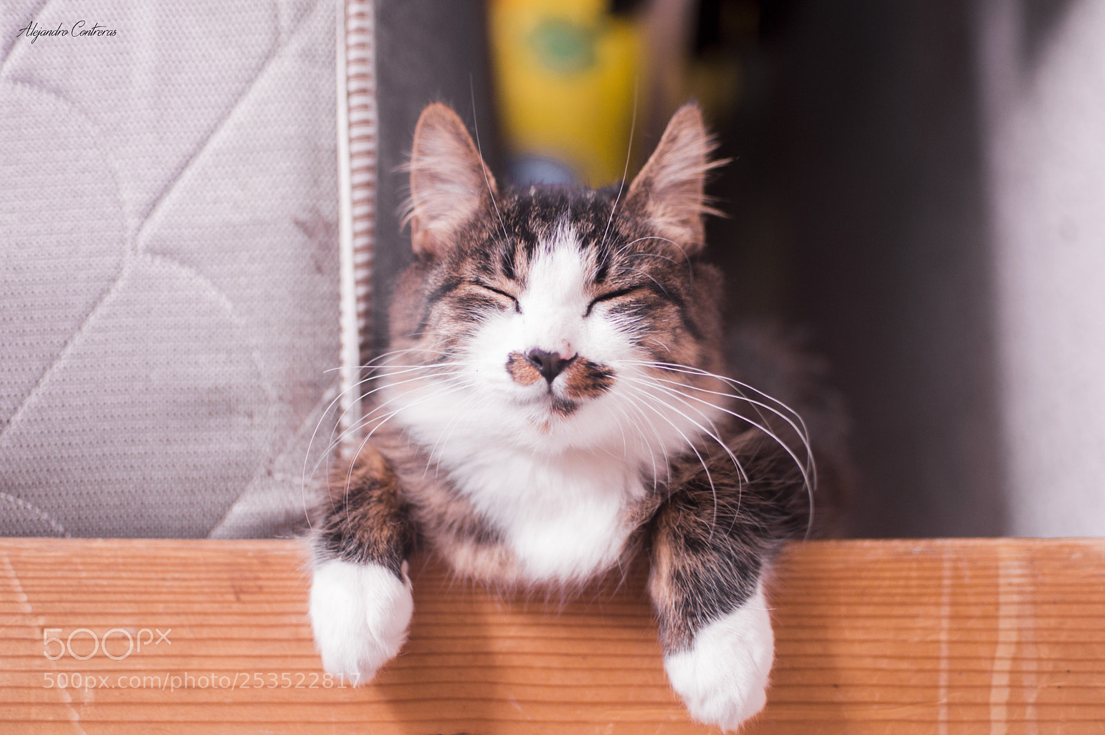 Nikon D3200 sample photo. Smile photography