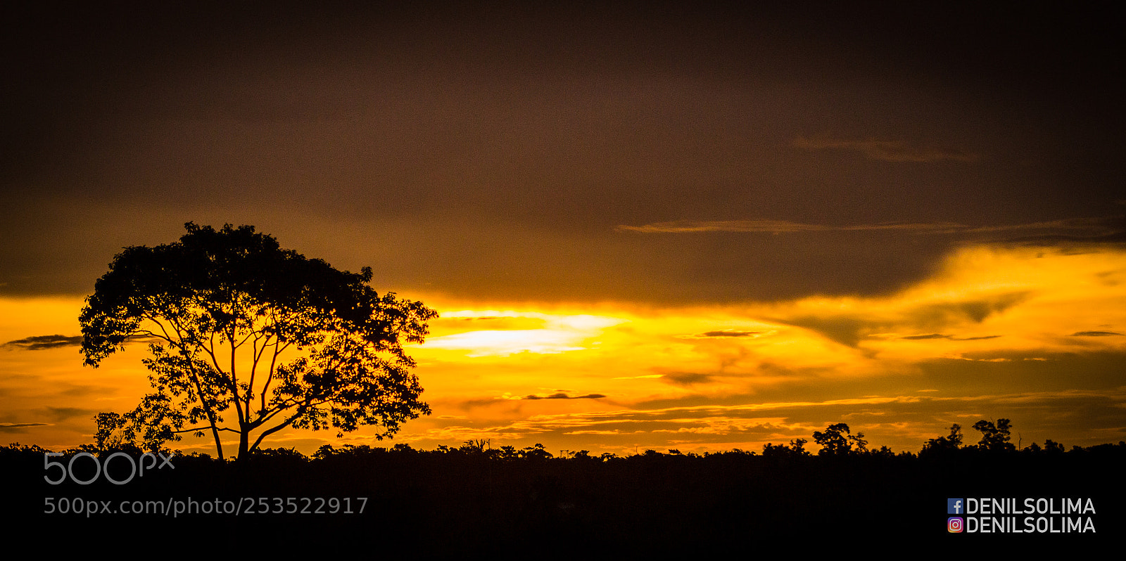 Canon EOS 700D (EOS Rebel T5i / EOS Kiss X7i) sample photo. Not in africa... photography