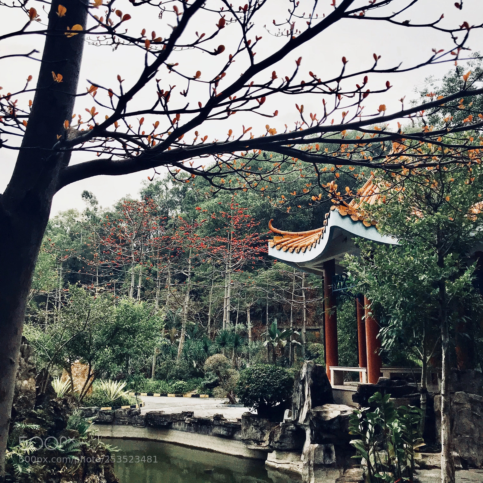Apple iPhone 7 sample photo. 沁芳 photography