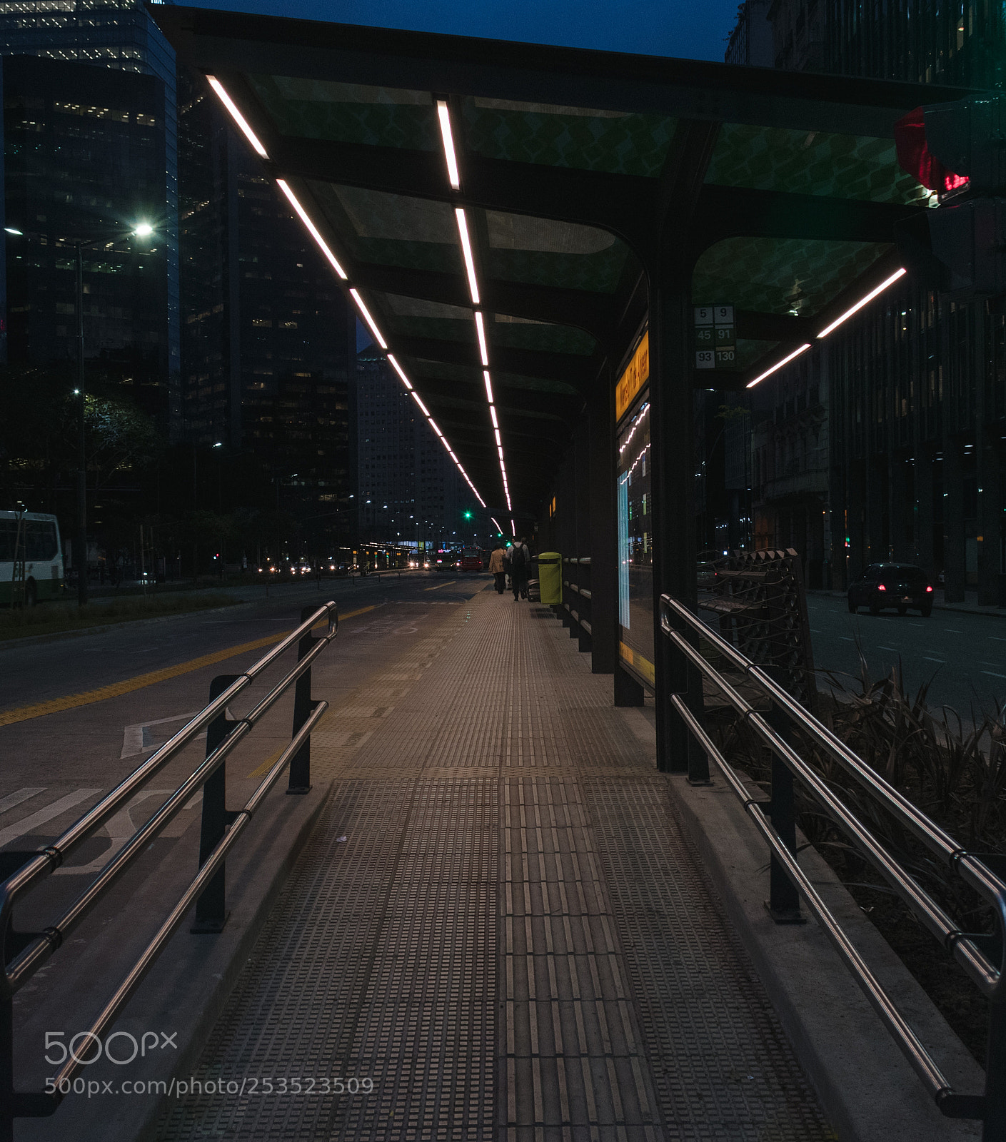 Nikon D3400 sample photo. Lineas photography