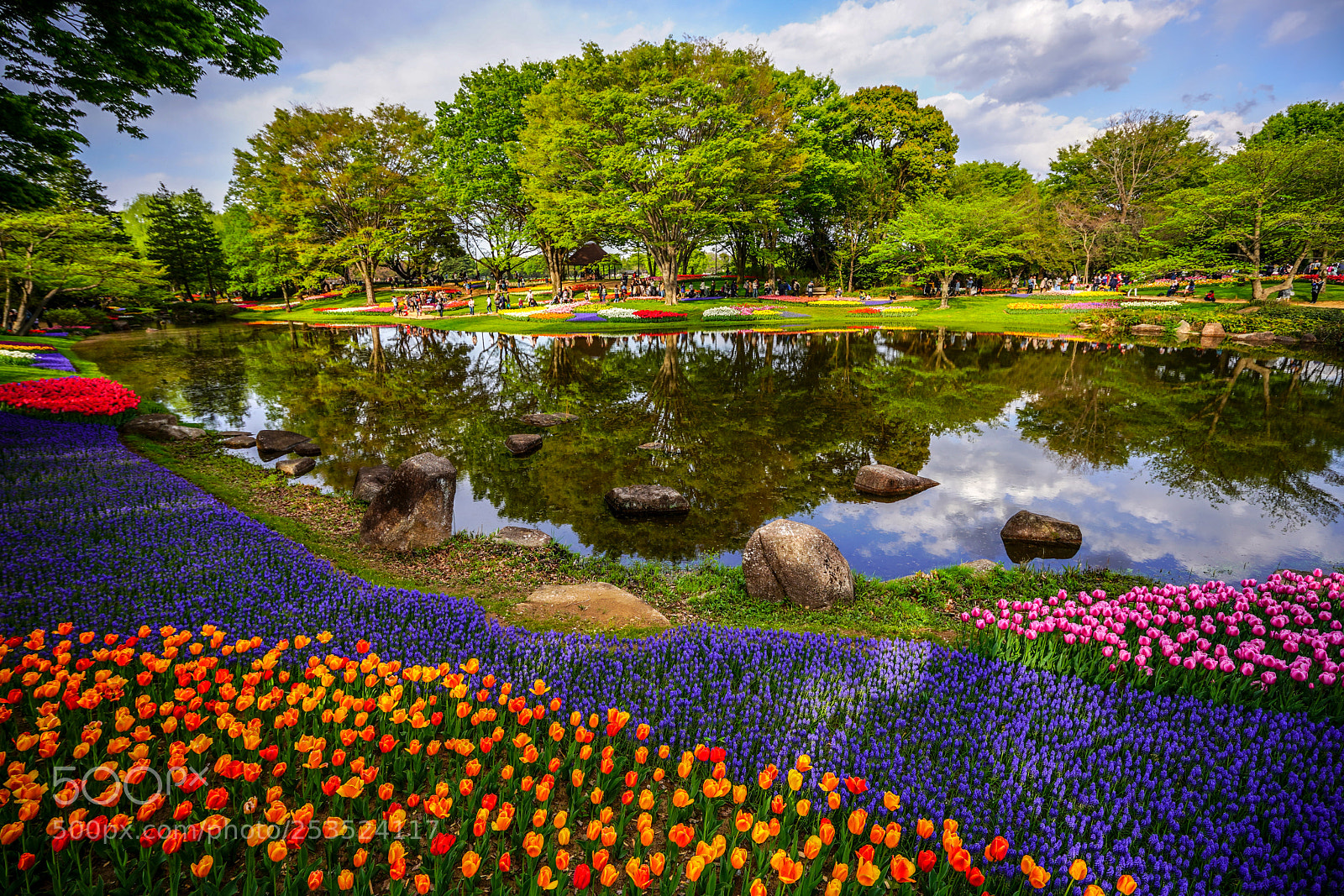 Sony a9 sample photo. Heaven on earth photography