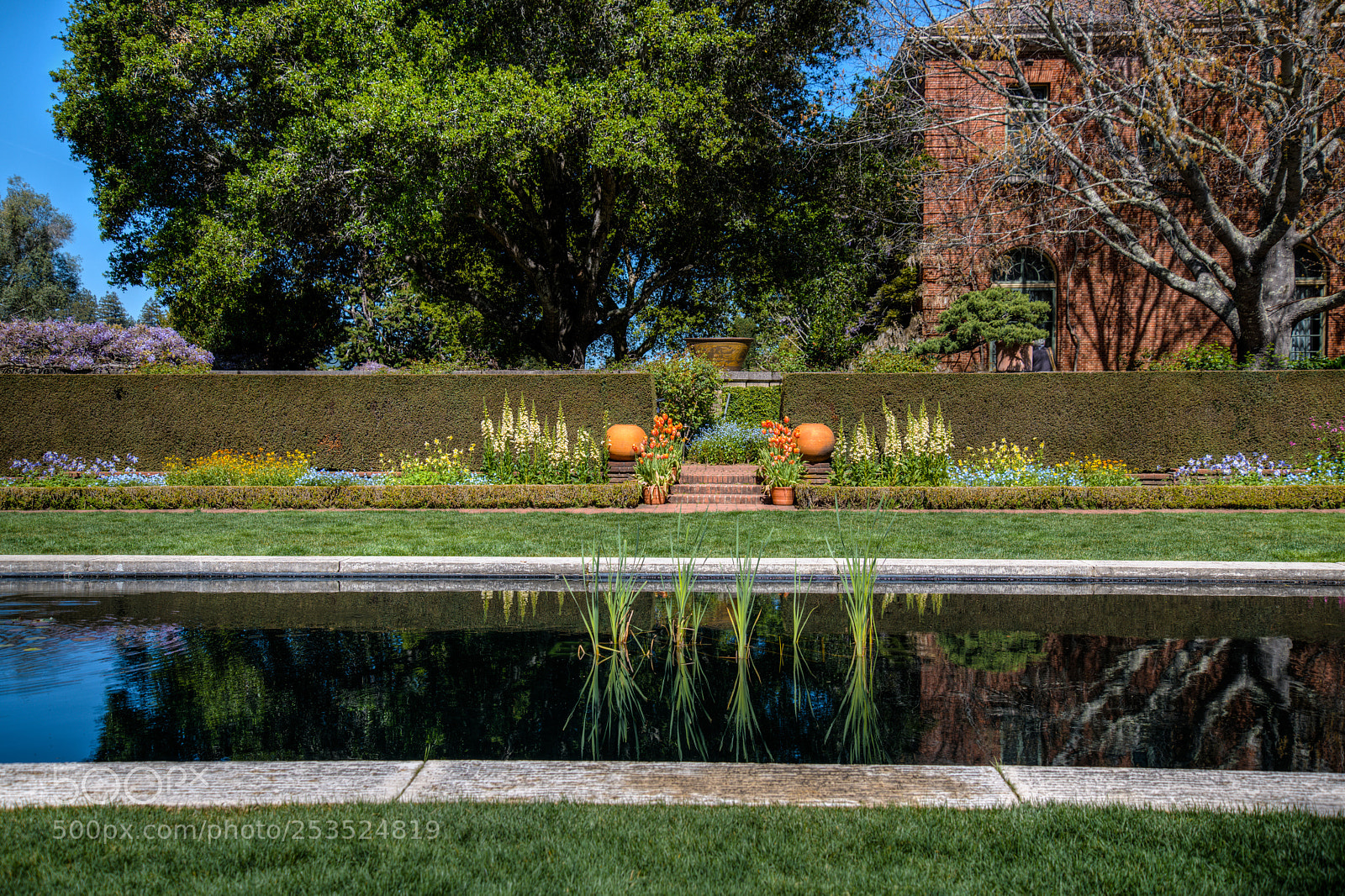 Nikon D850 sample photo. Filoli gardens fight, love photography