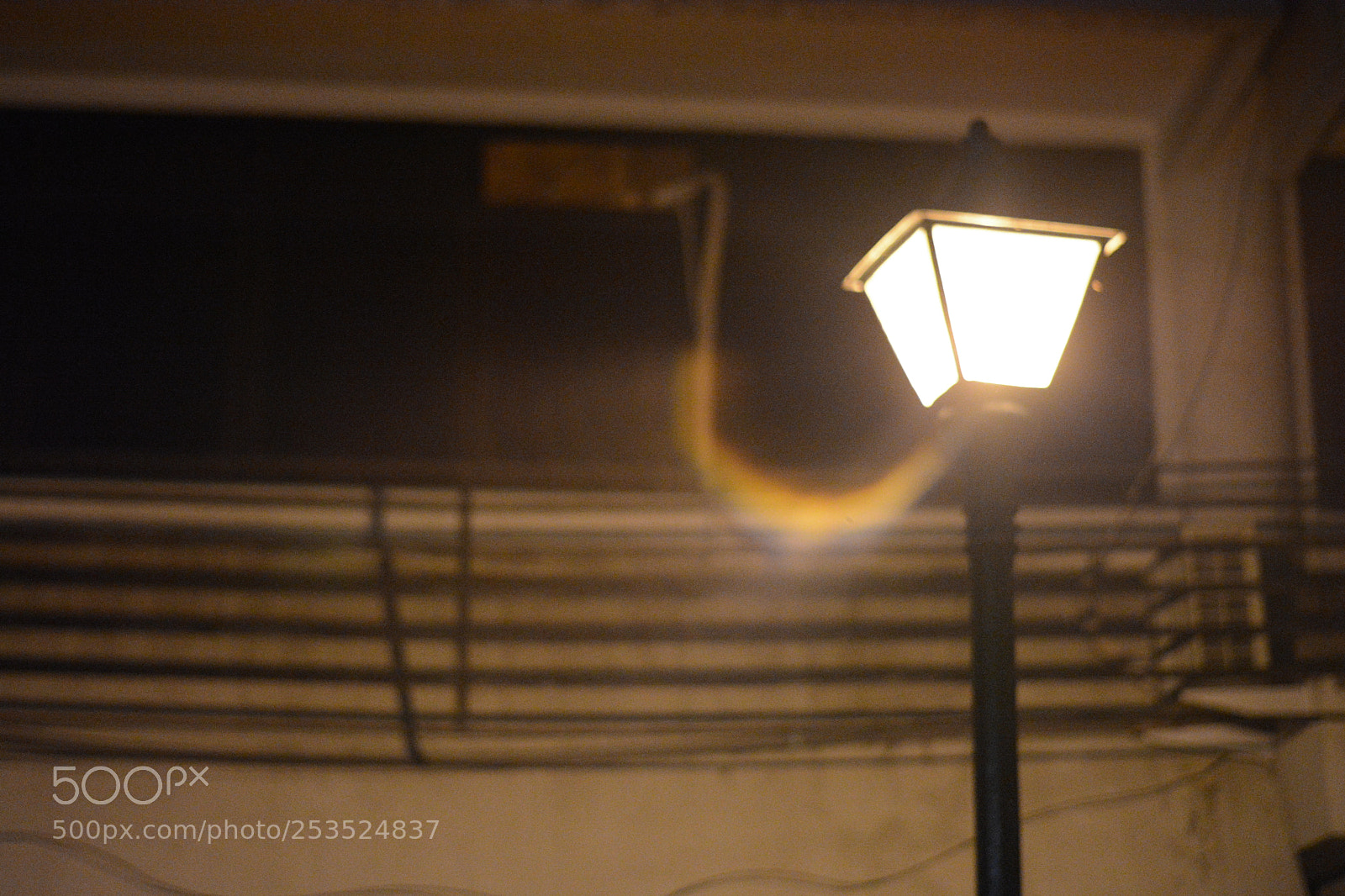 Nikon D5200 sample photo. Little lamplight photography