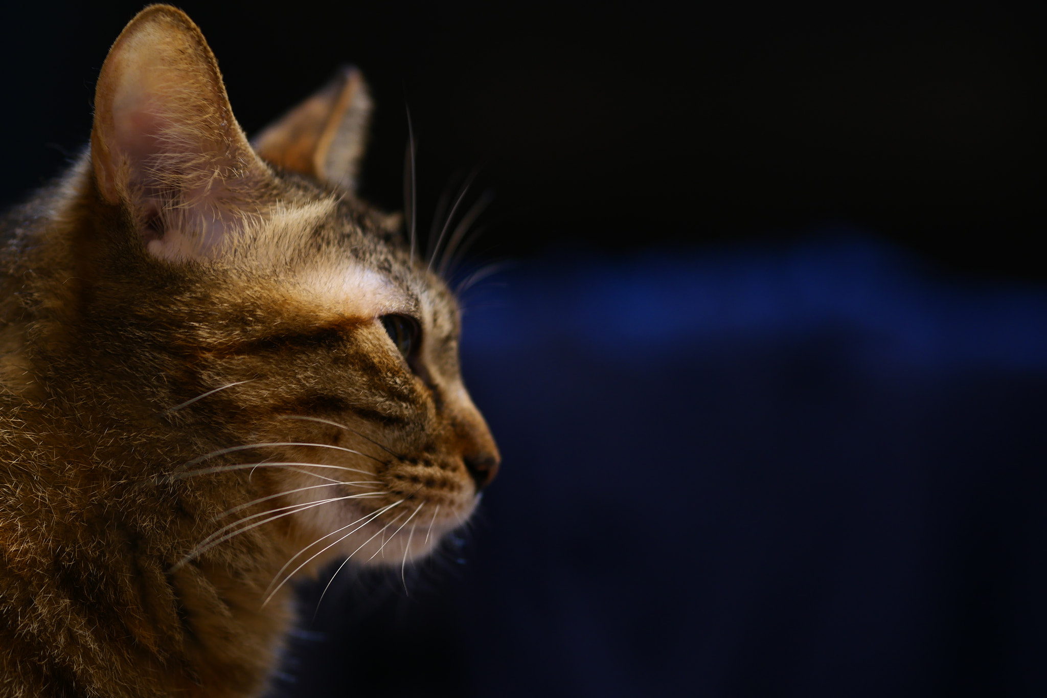 Panasonic DC-GX7MK3 sample photo. Soul in sight photography