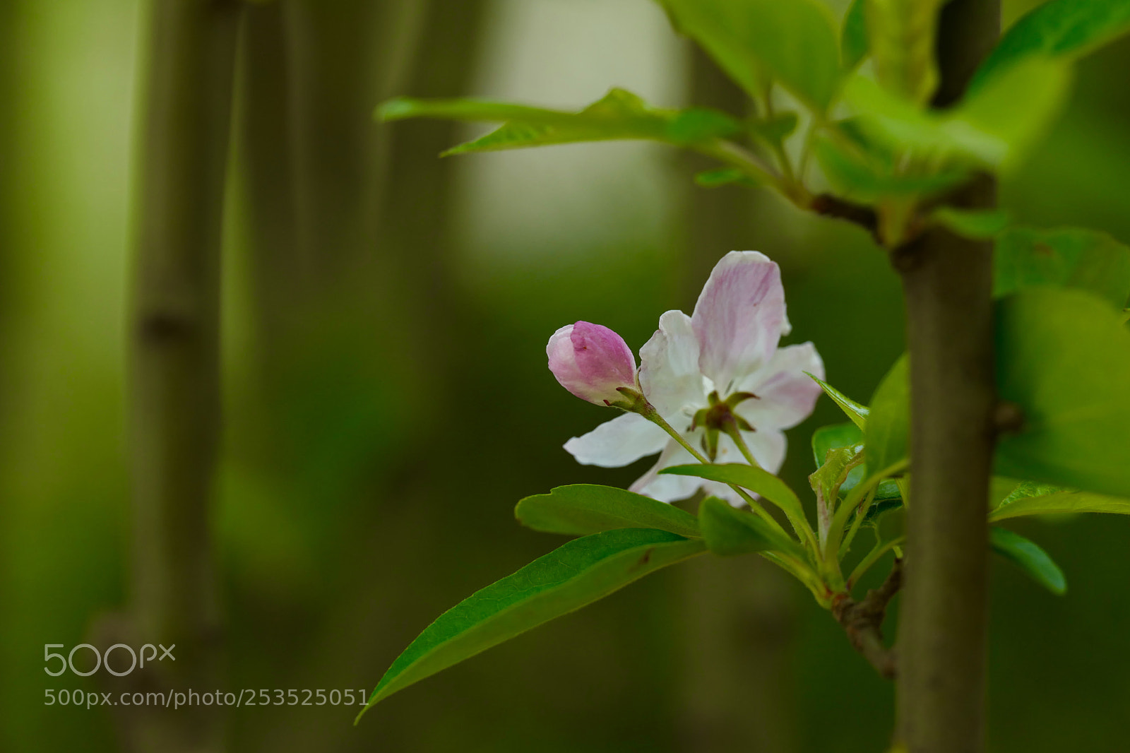 Leica SL (Typ 601) sample photo. Untitled photography