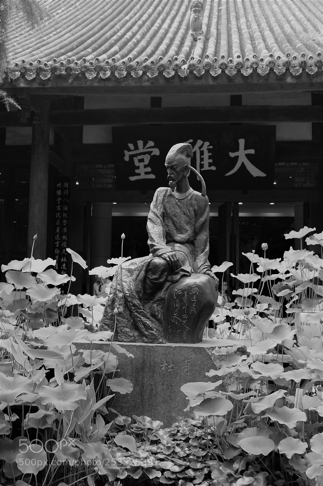 Canon EOS 100D (EOS Rebel SL1 / EOS Kiss X7) sample photo. Dufu poet photography