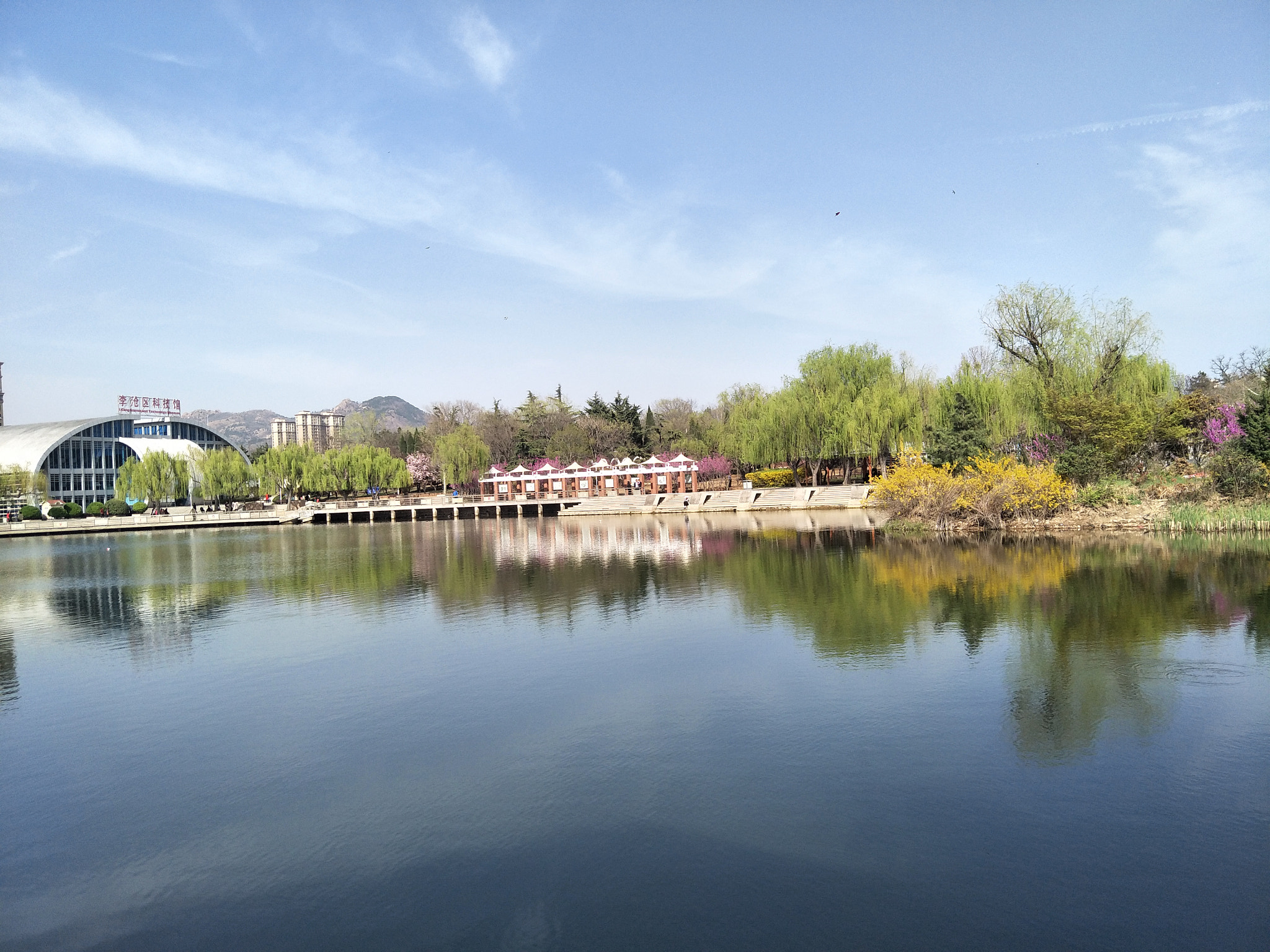 OPPO R9S sample photo. Licun park photography