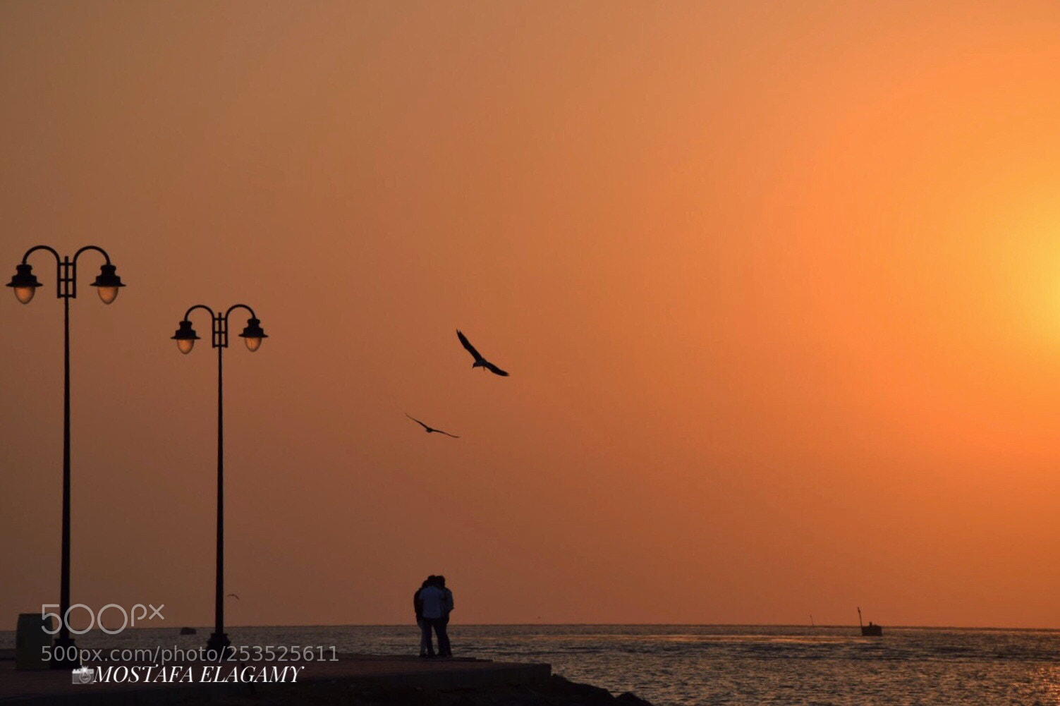 Nikon D5300 sample photo. Meeting in sunset  photography