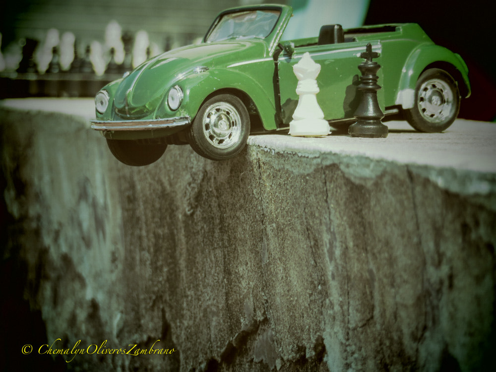 Canon PowerShot SX730 HS sample photo. Catch me i'm falling photography