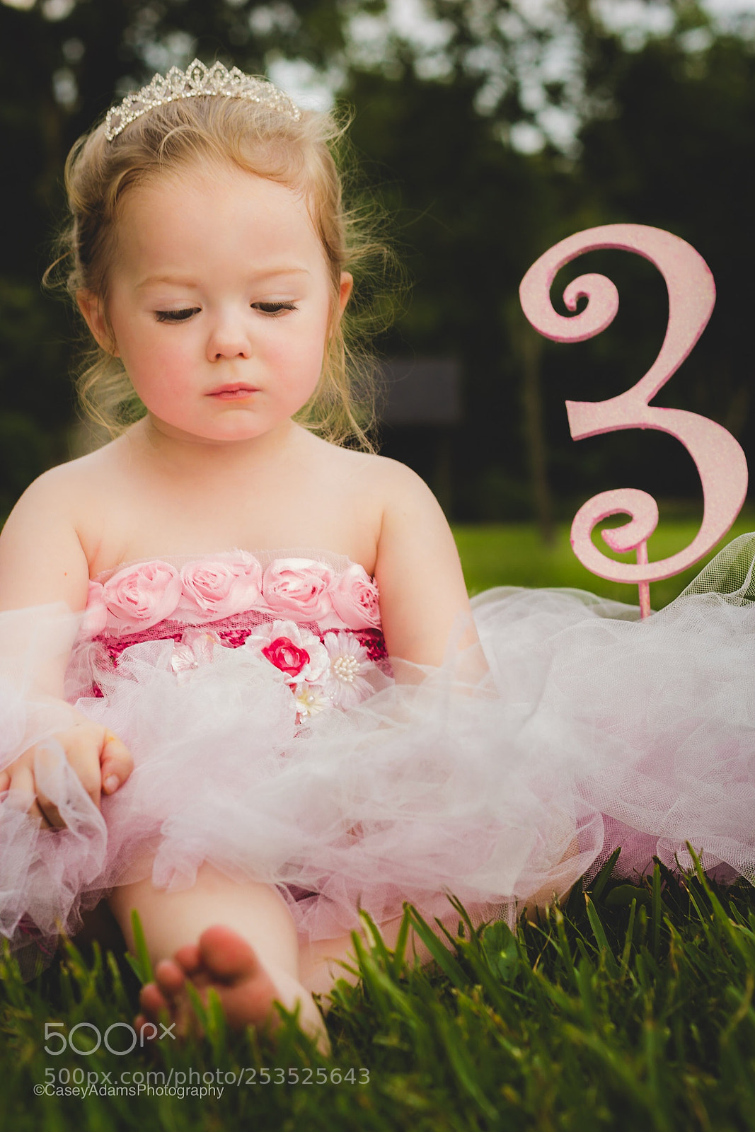 Canon EOS 600D (Rebel EOS T3i / EOS Kiss X5) sample photo. Addyson photography
