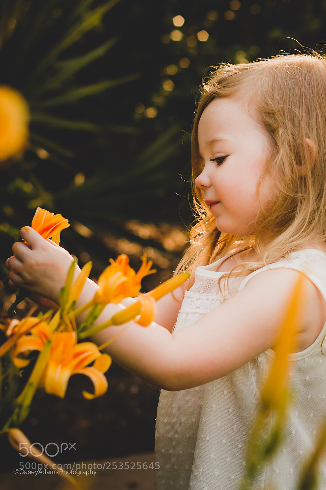Canon EOS 600D (Rebel EOS T3i / EOS Kiss X5) sample photo. Addyson photography