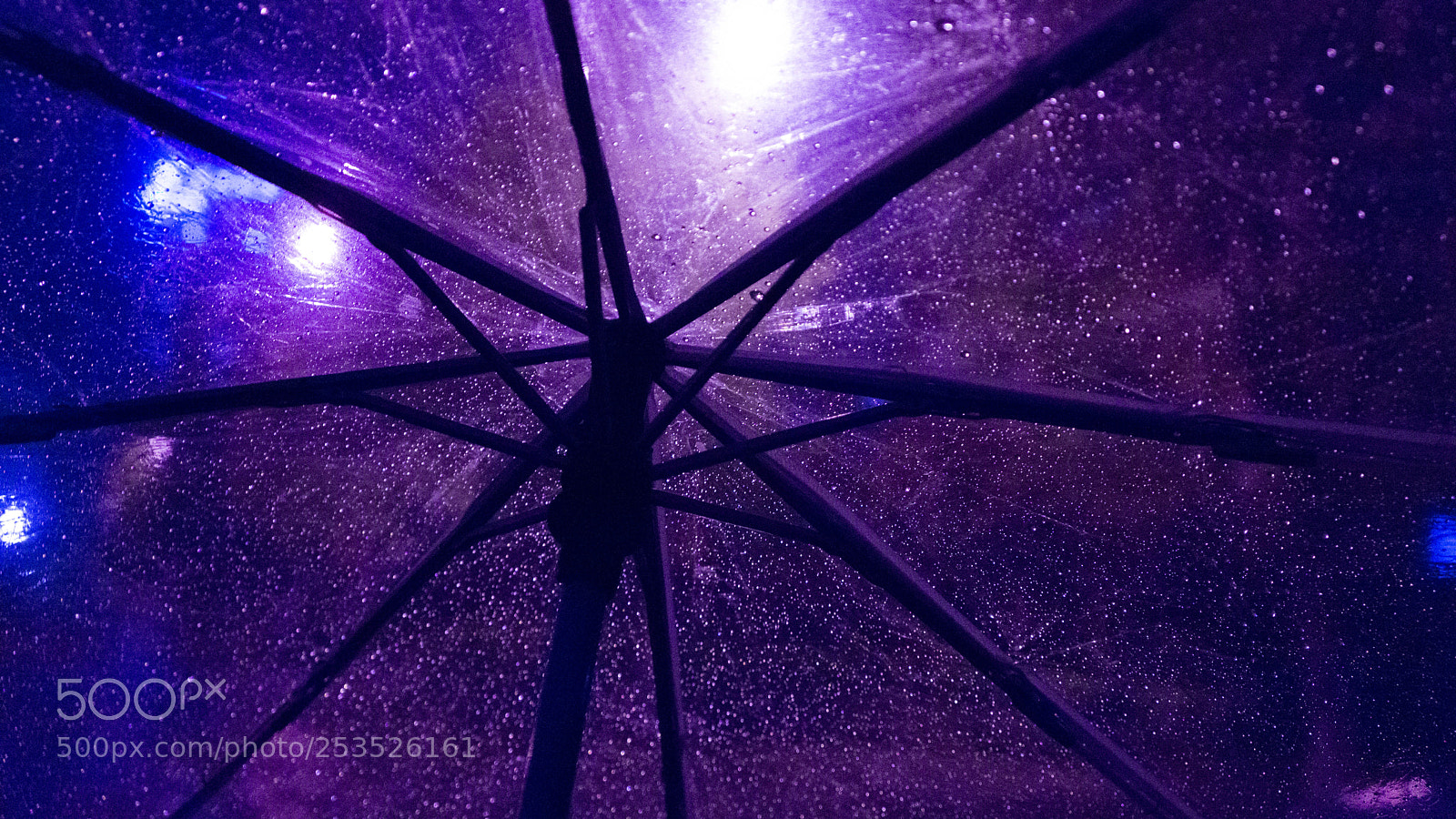 Sony Alpha NEX-7 sample photo. Dsc photography