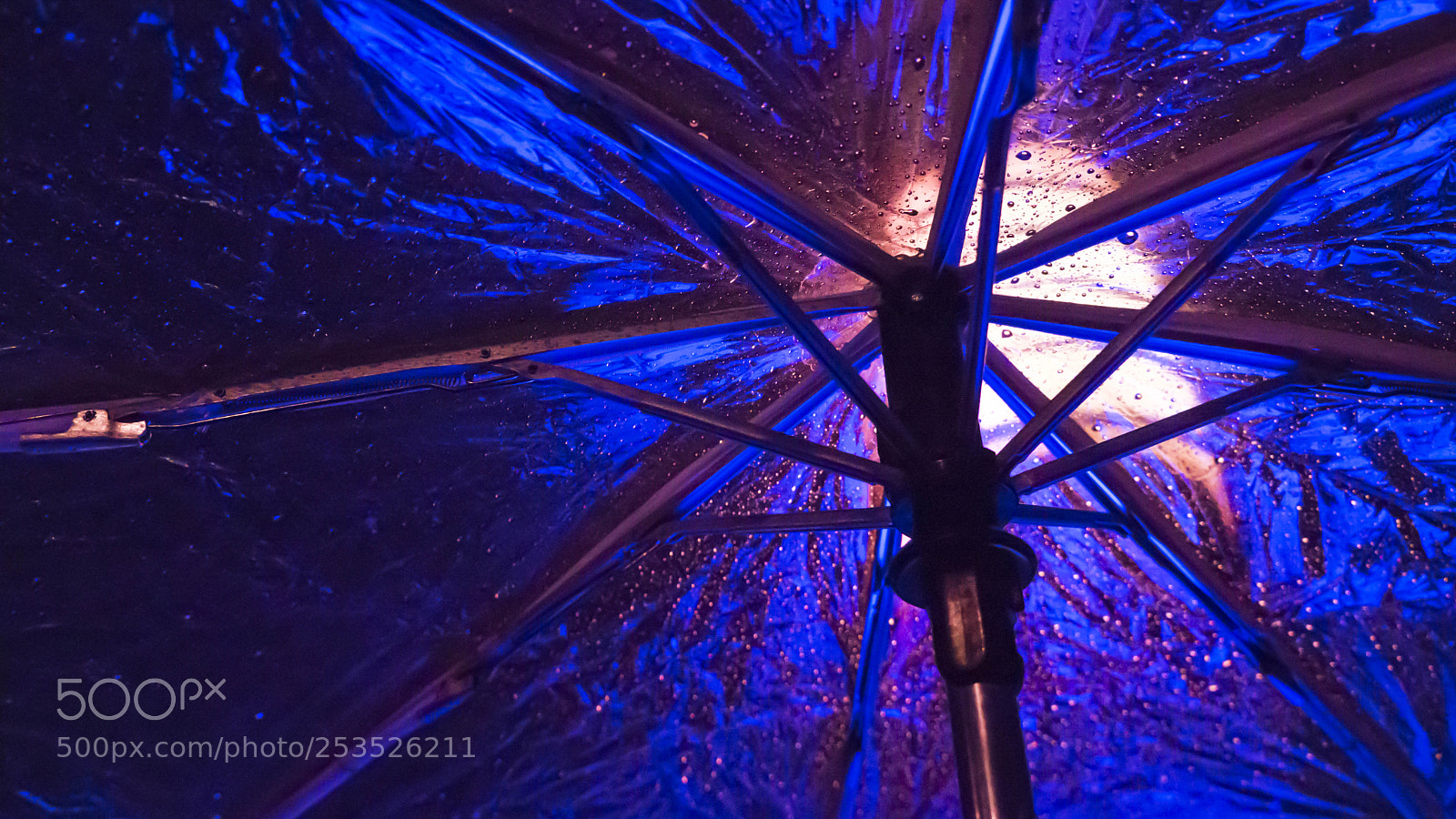 Sony Alpha NEX-7 sample photo. Dsc photography
