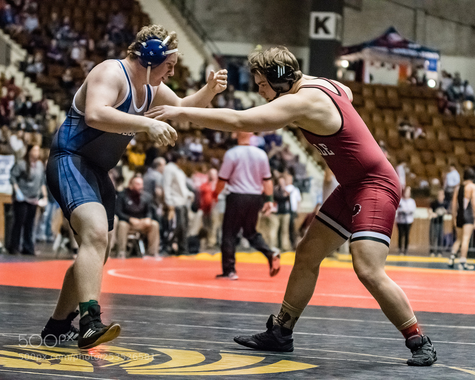 Nikon D500 sample photo. Battle of the titans photography