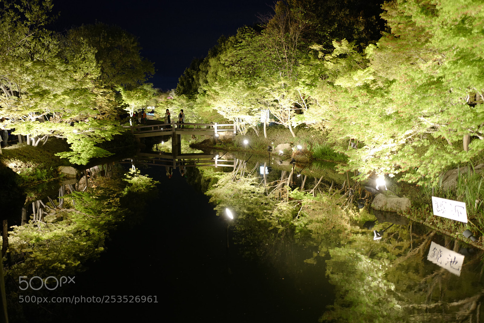 Leica Q (Typ 116) sample photo. Untitled photography