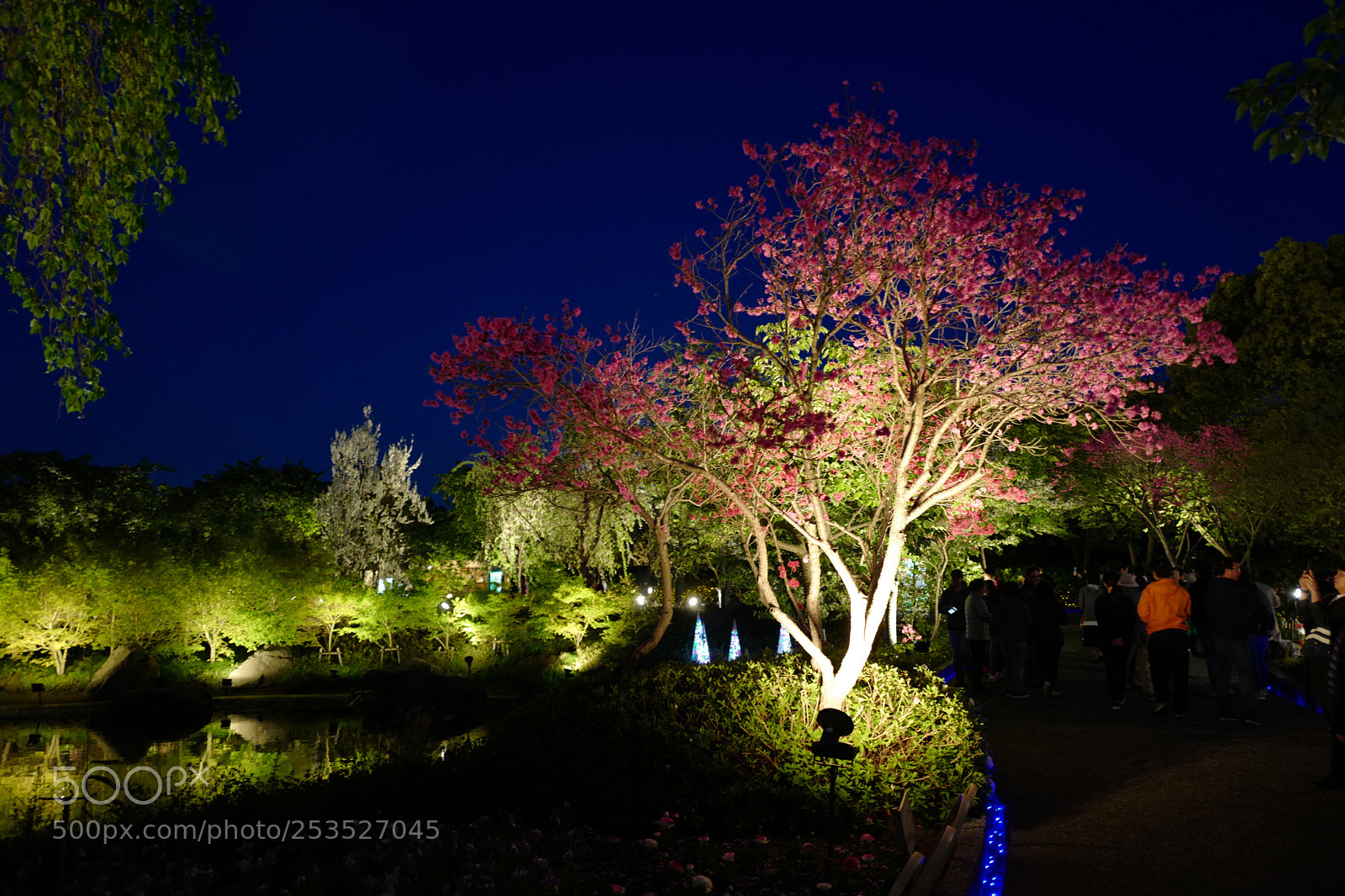 Leica Q (Typ 116) sample photo. Untitled photography