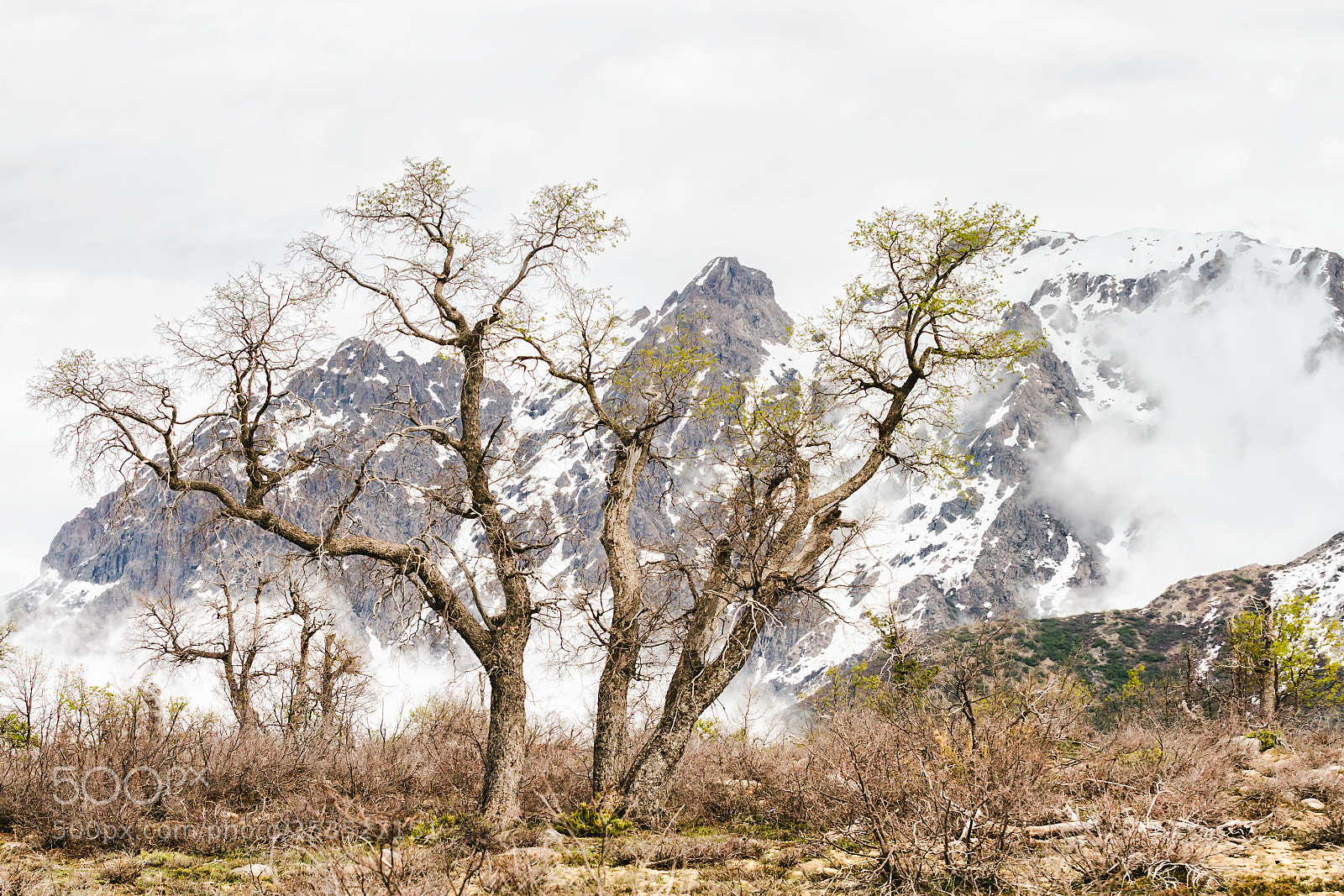 Canon EOS 7D sample photo. Reserva nacional alto lircay photography