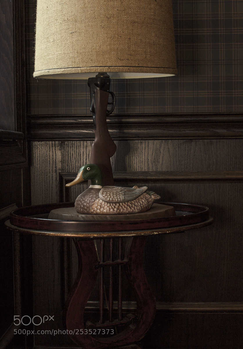 Canon EOS 600D (Rebel EOS T3i / EOS Kiss X5) sample photo. Untitled still life photography