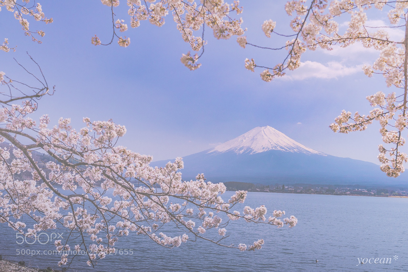 Sony a7 II sample photo. Mt.fuji photography