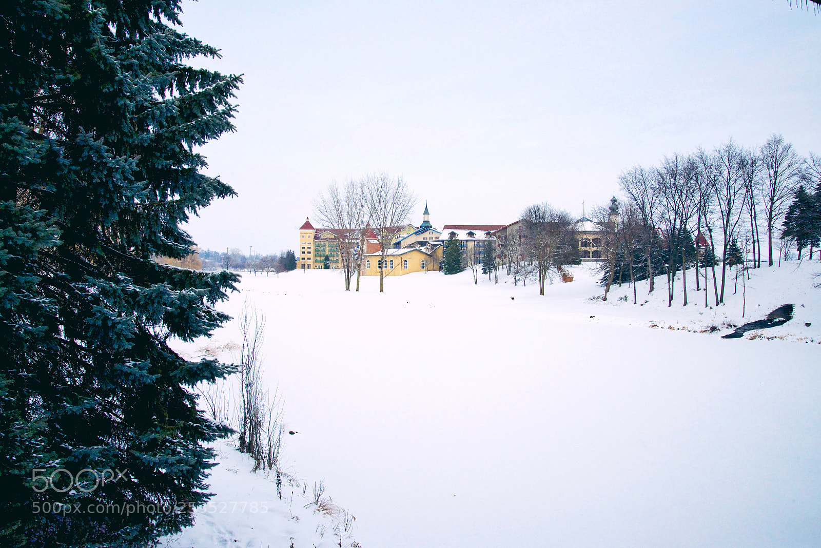 Nikon D600 sample photo. Arctic village photography