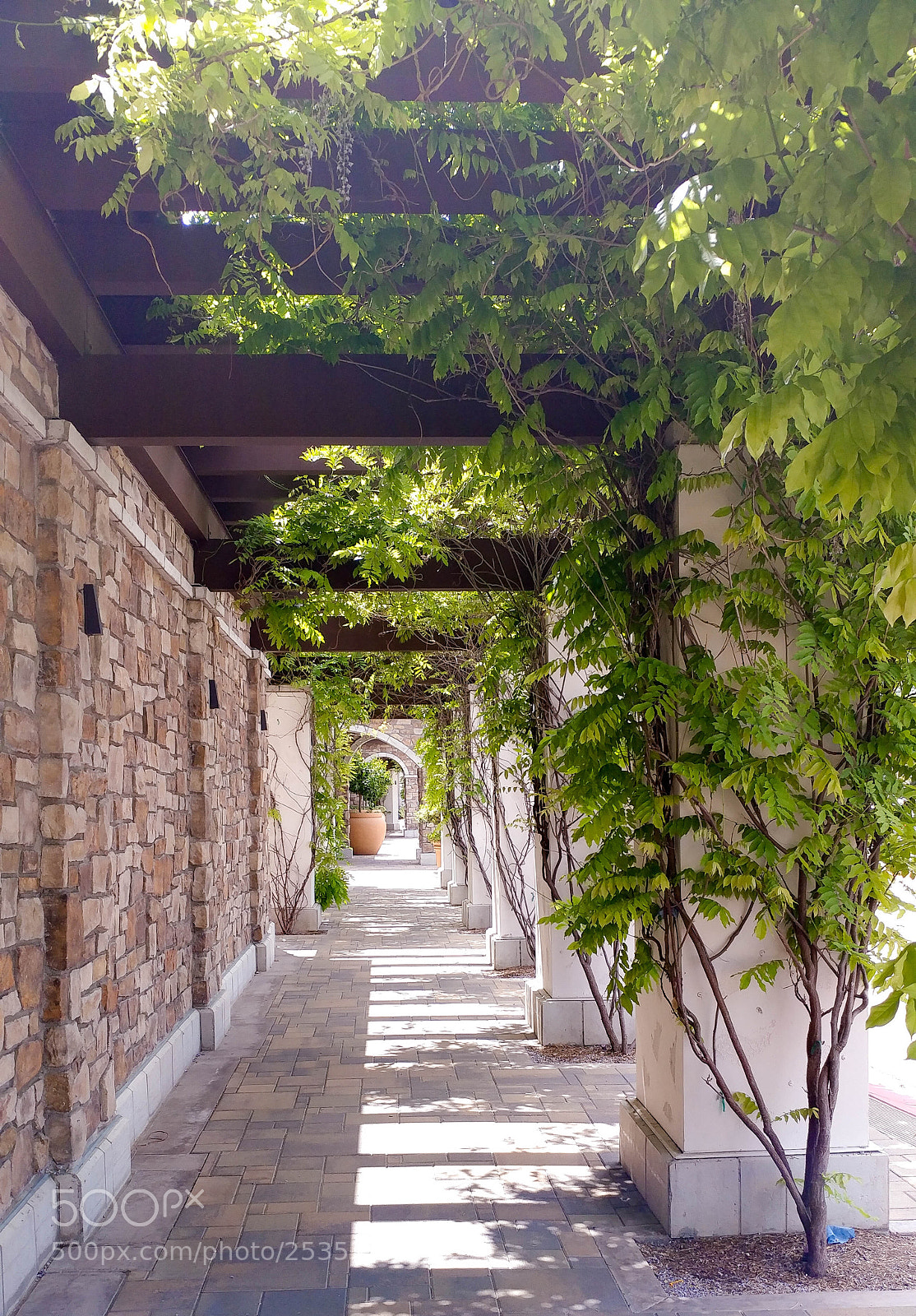 LG V20 sample photo. Shaded walk photography