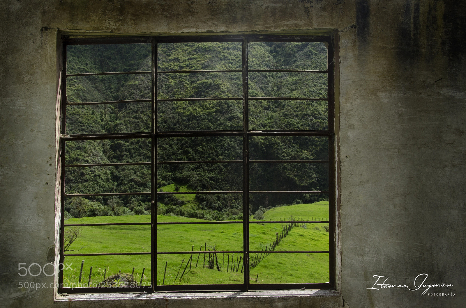 Nikon D7000 sample photo. Ventana photography