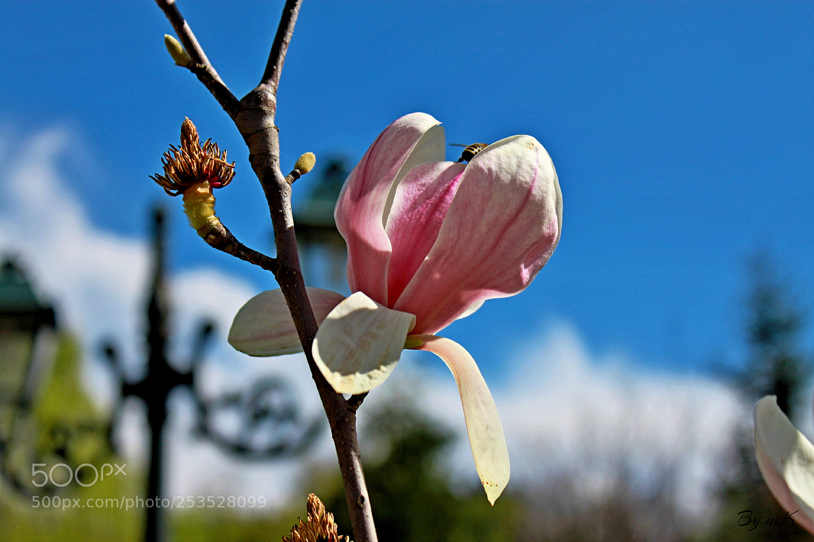 Canon EF-S 18-55mm F3.5-5.6 IS sample photo. Ανοιξη..... photography