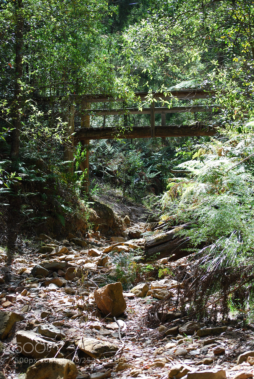 Nikon D40X sample photo. Bridge at fairy dell photography