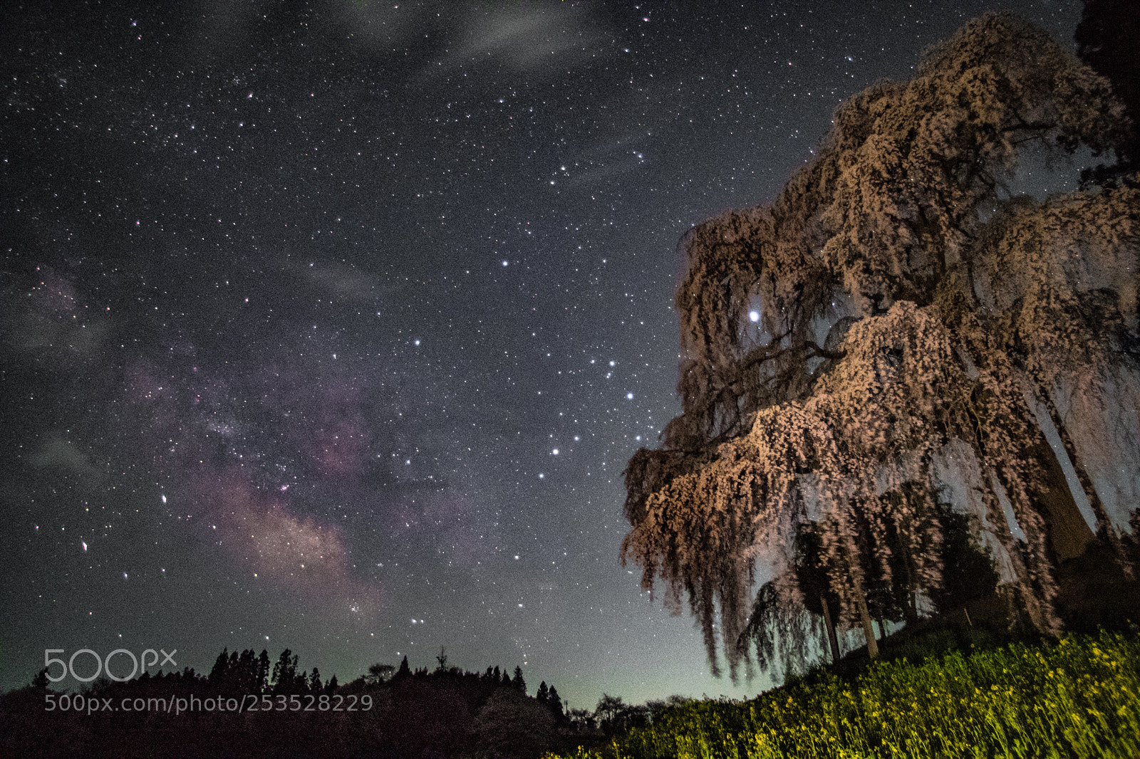 Pentax K-1 sample photo. Milky way photography