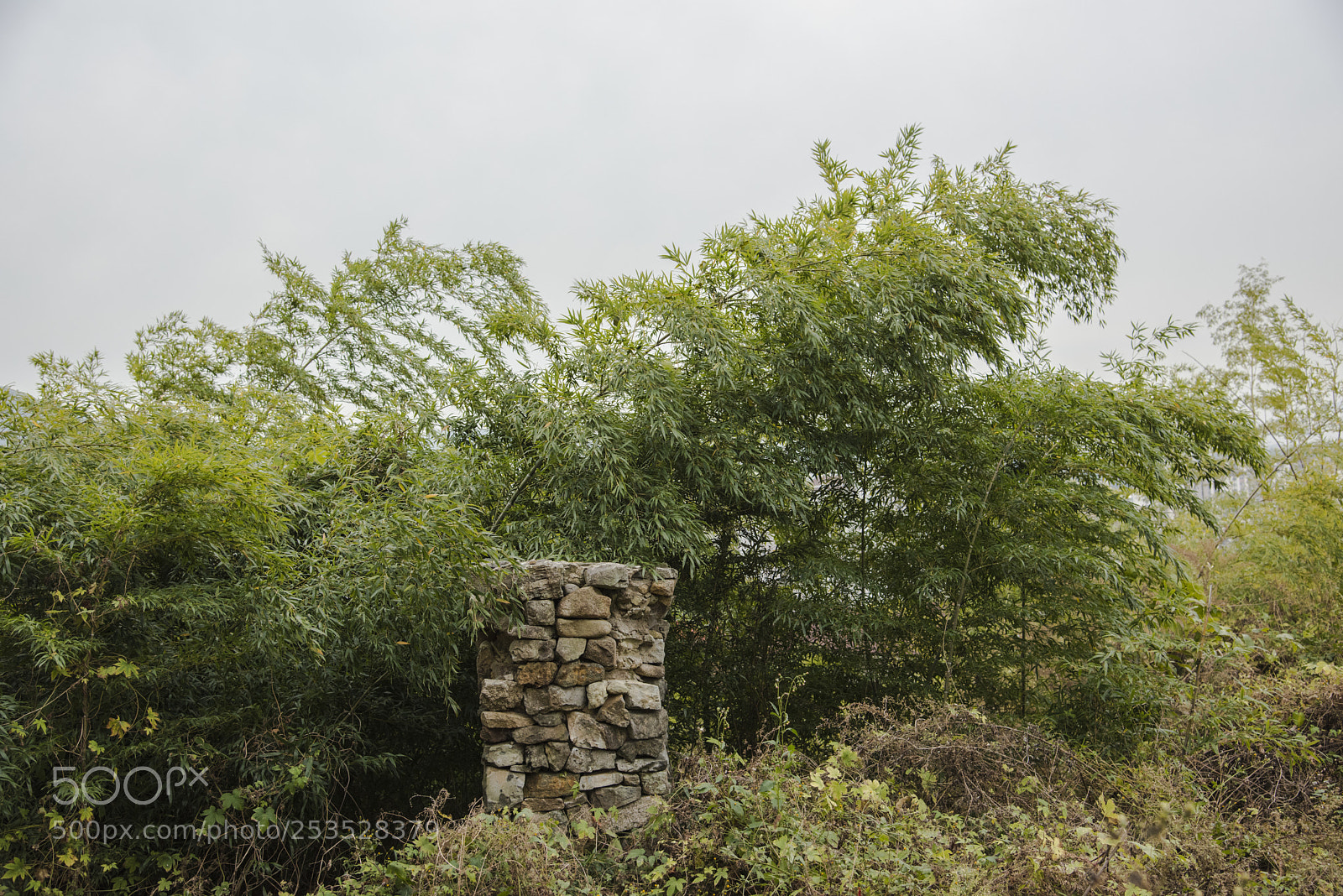 Nikon D810 sample photo. A wind photography