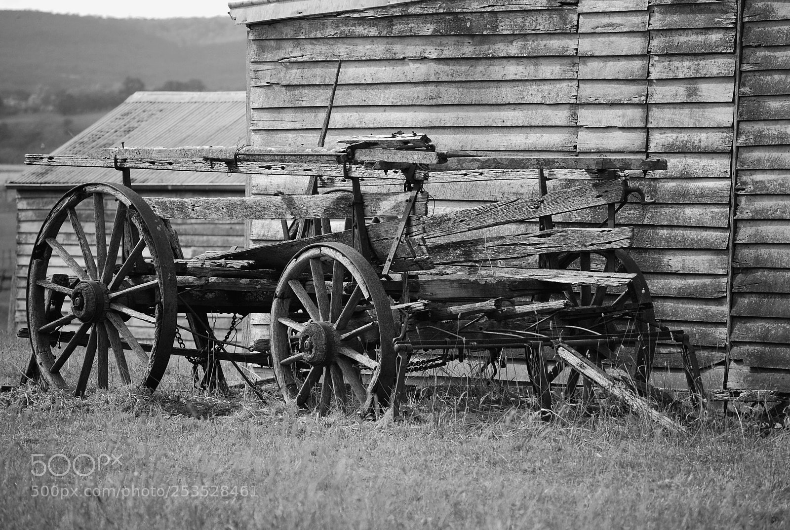 Nikon D40X sample photo. Days gone by photography