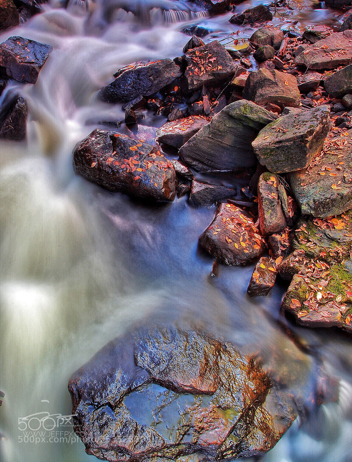 Canon EOS 5D Mark II sample photo. Algonquin photography
