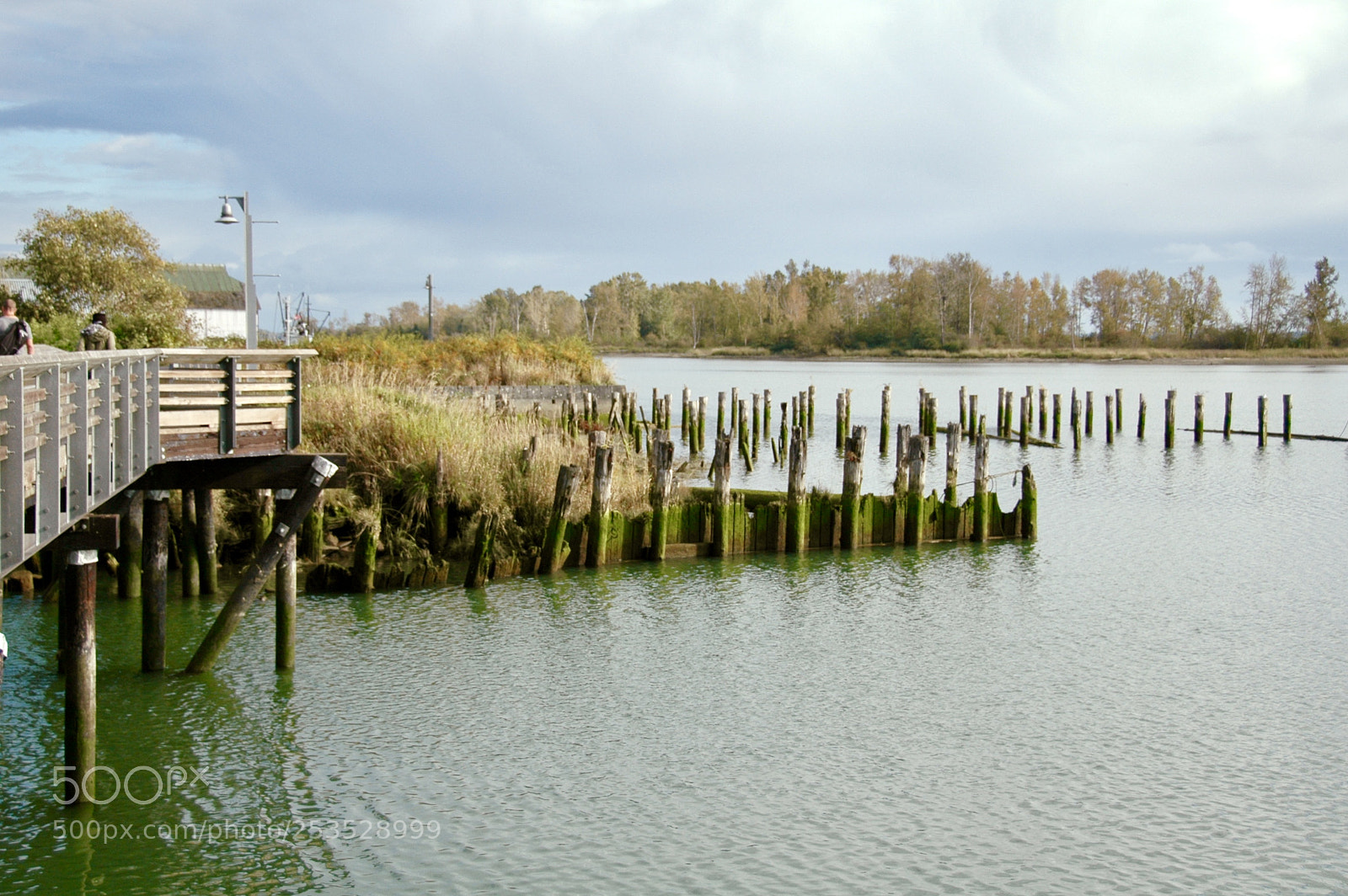 Nikon D70 sample photo. Fullsizeoutput photography