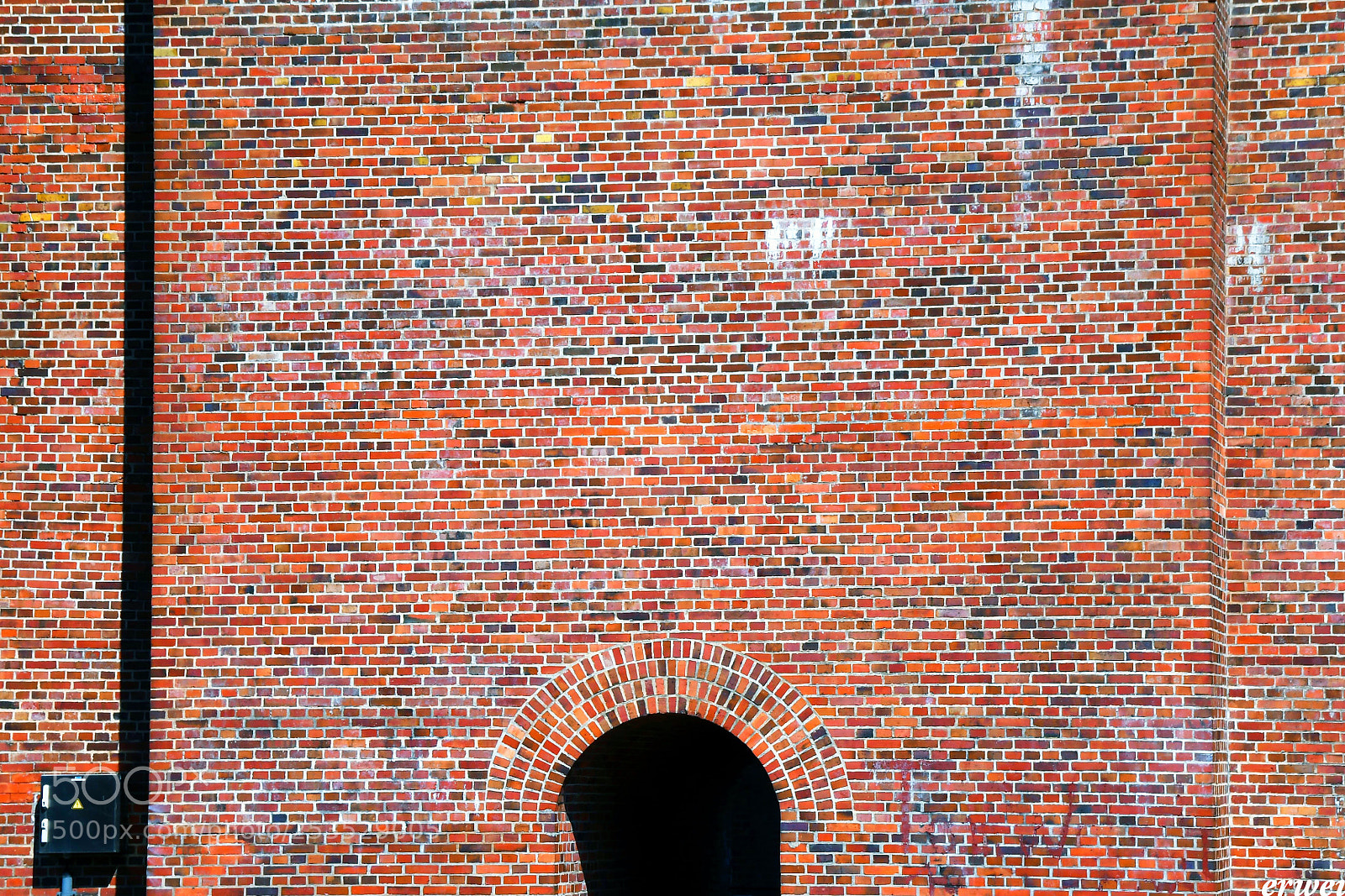 Nikon D500 sample photo. Like a  wall photography