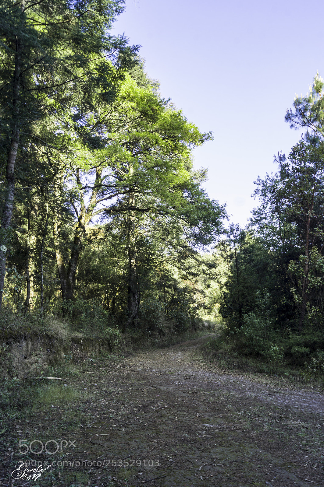 Sony SLT-A37 sample photo. Caminos photography