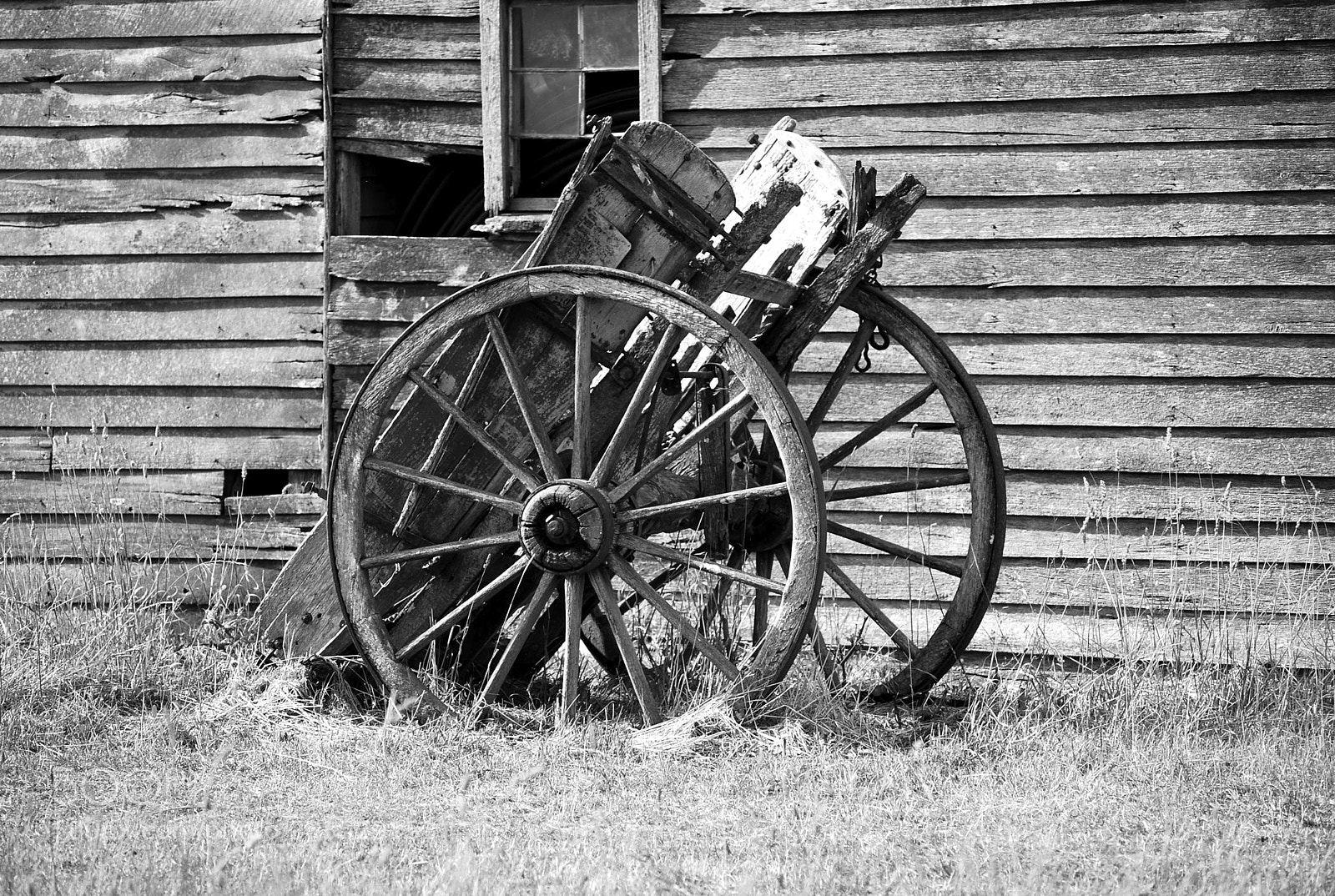 Nikon D40X sample photo. Left to rot photography