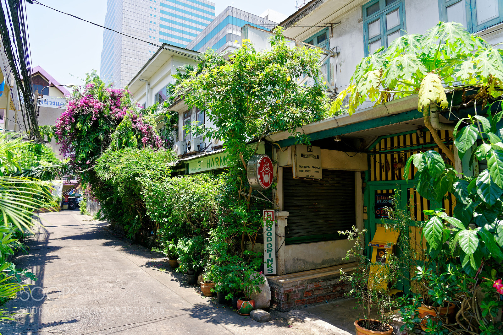 Sony a7R II sample photo. The alley photography