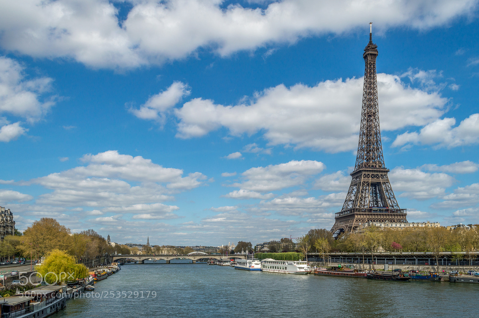 Nikon D3200 sample photo. Eifel from the seine photography